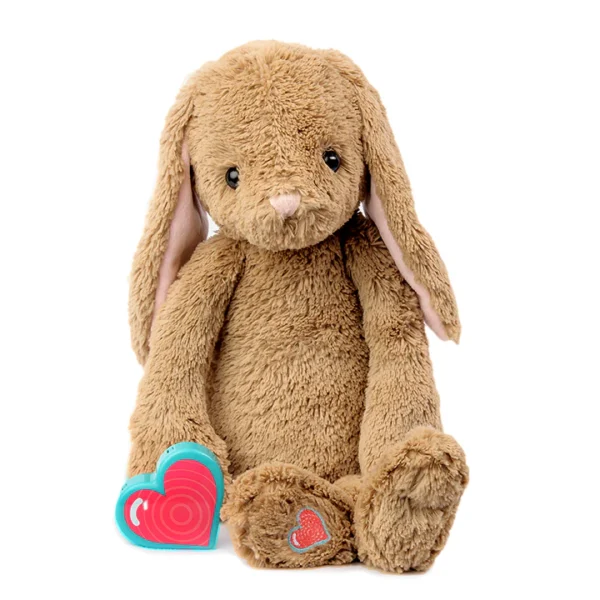 Brown Bunny Heartbeat Animal